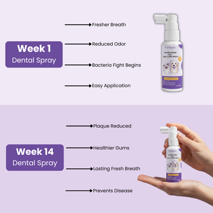 Spray Dentaire Chiens & Chats 50ml